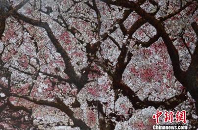 福建省第六届漆画展150件漆画精品集中亮相