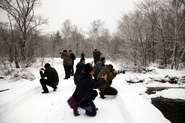 2013年11月冰雪画派在小兴安岭写生