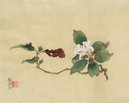 л黭չ཭ճ