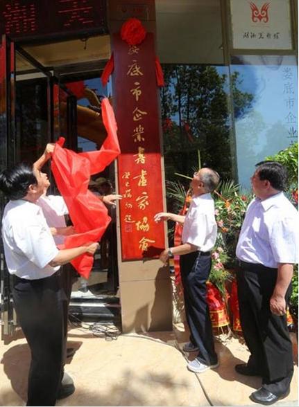 湖南娄底市企业书画家协会揭牌成立