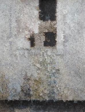 Ʒչ