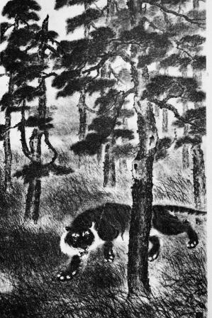 吴公虎为画虎而养虎 作品获蒋介石赞叹