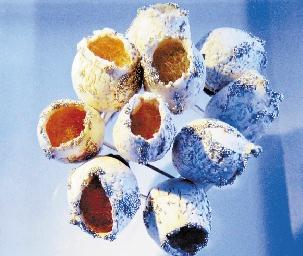 �й���Ժ2014��ҵ����չʾ�ܽ��뵹��ʱ