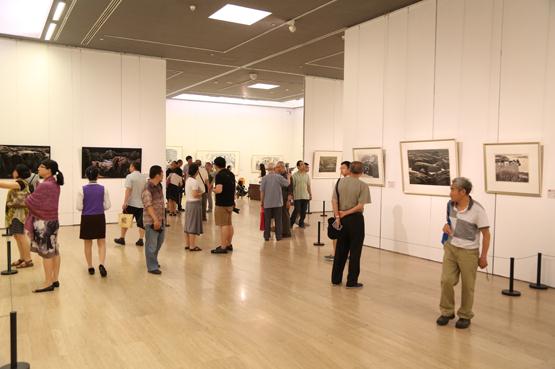 姚天沐扎根黄从艺六十五年回顾画展在京开展