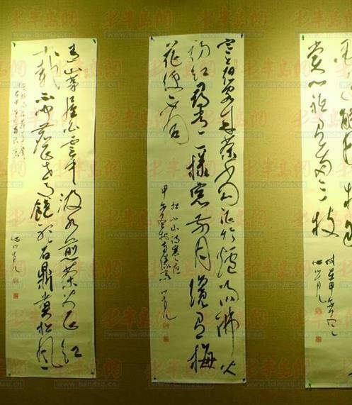 �����оٰ�ȫ���������黭��������չ