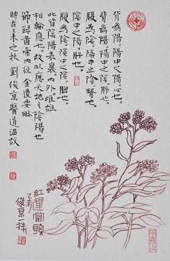 一字一清韵——刘俊京养生书画之《黄帝内经》赏析