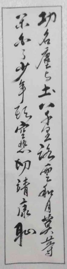 鷨鷨Ʒ3