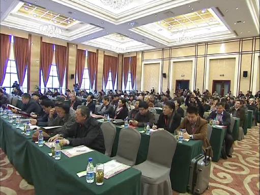 2015���й�������Э�Ṥ������¡���ٿ�