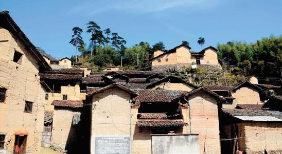 Ҷ�����ͷ��