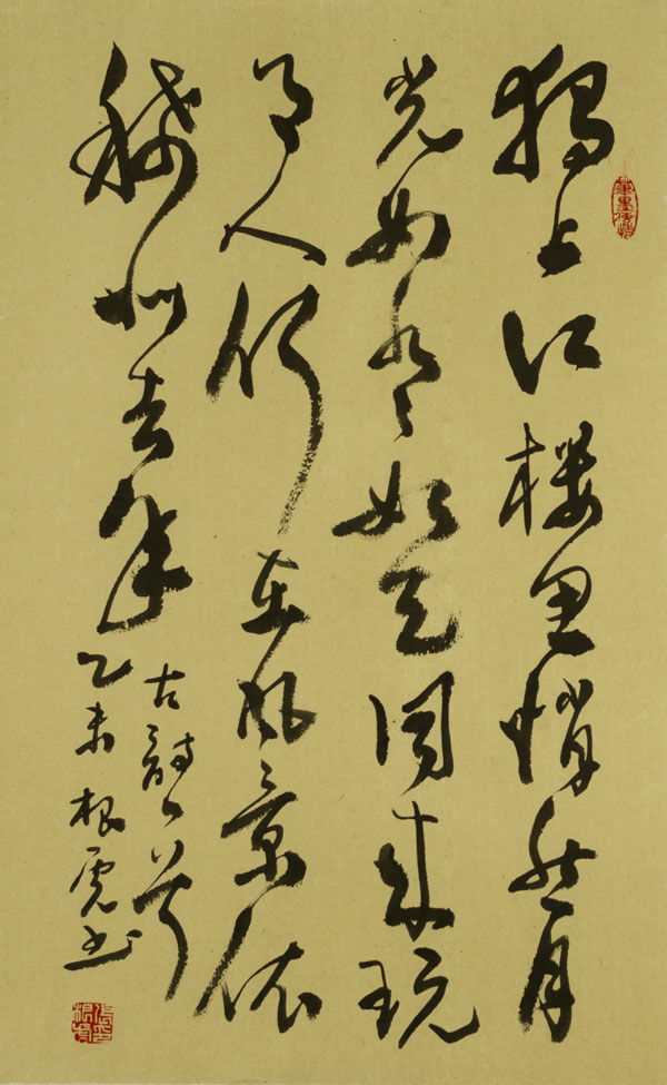 黭ŸƷ