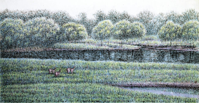 孙兆海作品:绿色家园