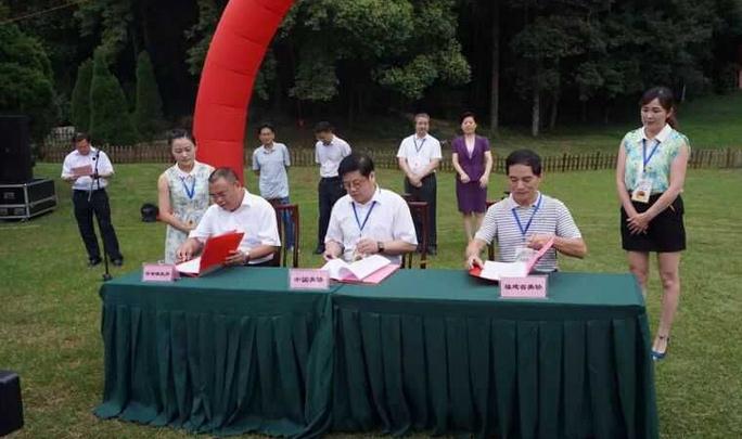 �й���Э����д�����ع�����ʽ�ڹ������