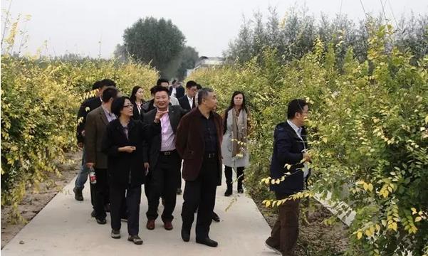 黄河文化杯中国拍卖行业文化之旅活动成功举办
