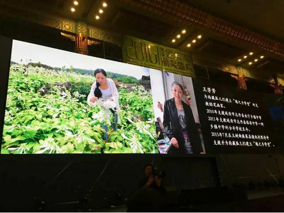 画家王芳芳荣获“2016教育金宗奖年度支教教师”提名奖