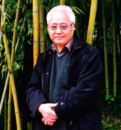 林凡梅花绘画的意境之美