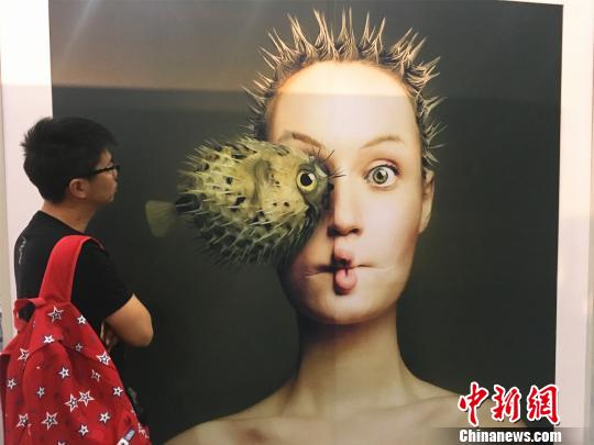 �ж�ŷ�Ļ���������չ��������Ļ����ͼ��