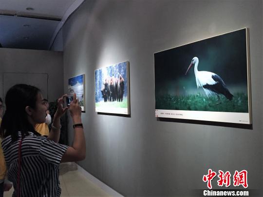 ����������������ֽ���ͷס���������չ�����ݿ�չ