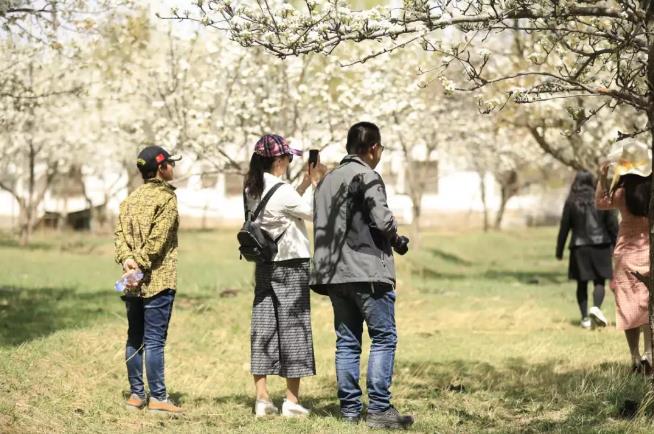 ��ֳ���Ӱ����