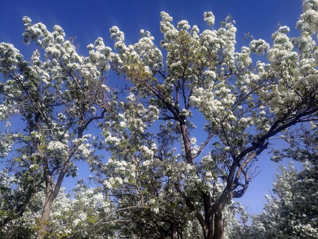 ����ʡ����оٰ������滨ʫ��