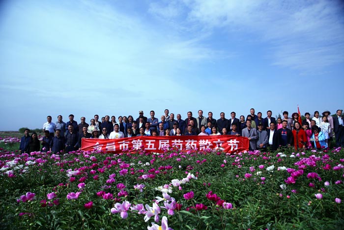 �������������ɫ�������������ЭС�ֶ�˫����ٰ조�������ҩɢ�Ľڡ�