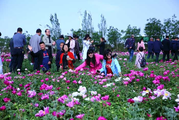 �������������ɫ�������������ЭС�ֶ�˫����ٰ조�������ҩɢ�Ľڡ�