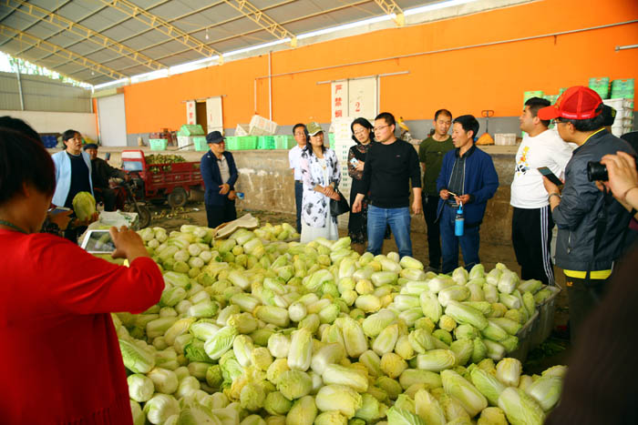 �������������ɫ�������������ЭС�ֶ�˫����ٰ조�������ҩɢ�Ľڡ�