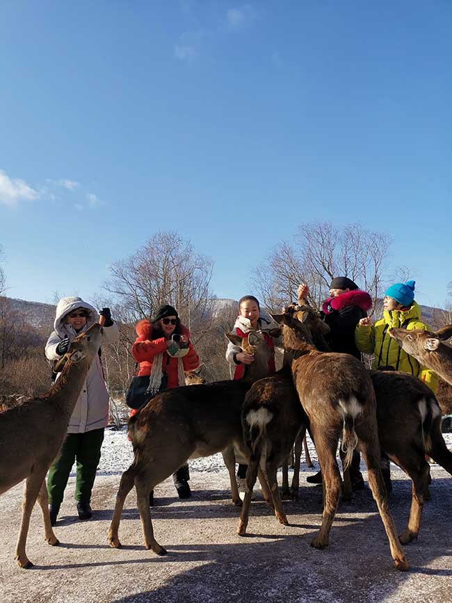 17-��ѩ����Ů���ι۰���ɽ¹�� .jpg