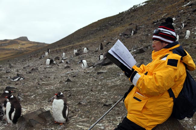 于志学在南极Aitcho岛写生IMG_3496.JPG